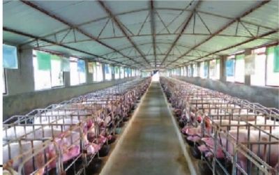 養(yǎng)豬場(chǎng)廢水處理方法及系統(tǒng)方案-藍(lán)膜