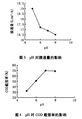 納濾膜，廢水滲透液，COD，去除效果