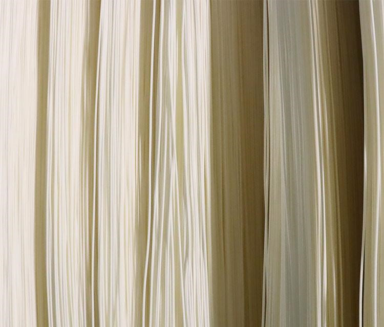 MBR膜多少錢一組