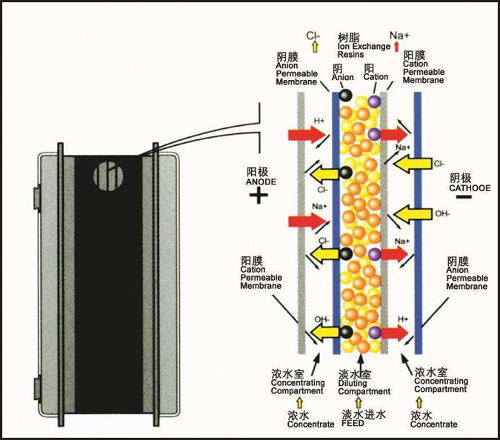 EDI模塊,內部結構圖片